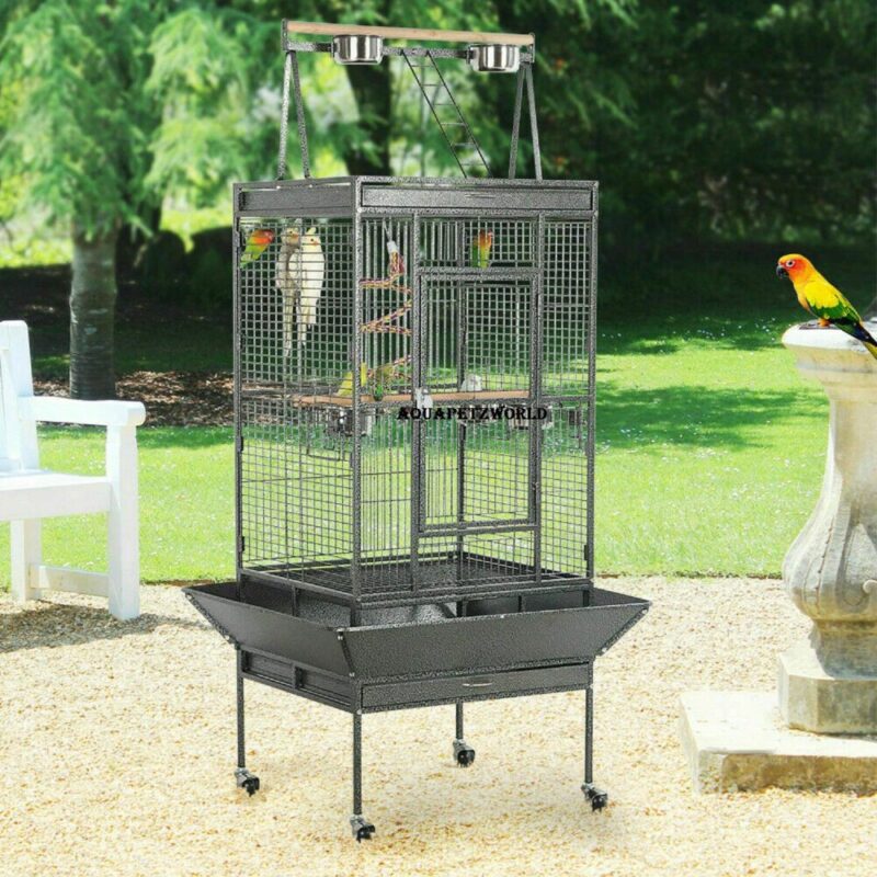 African Grey Parrot Cages