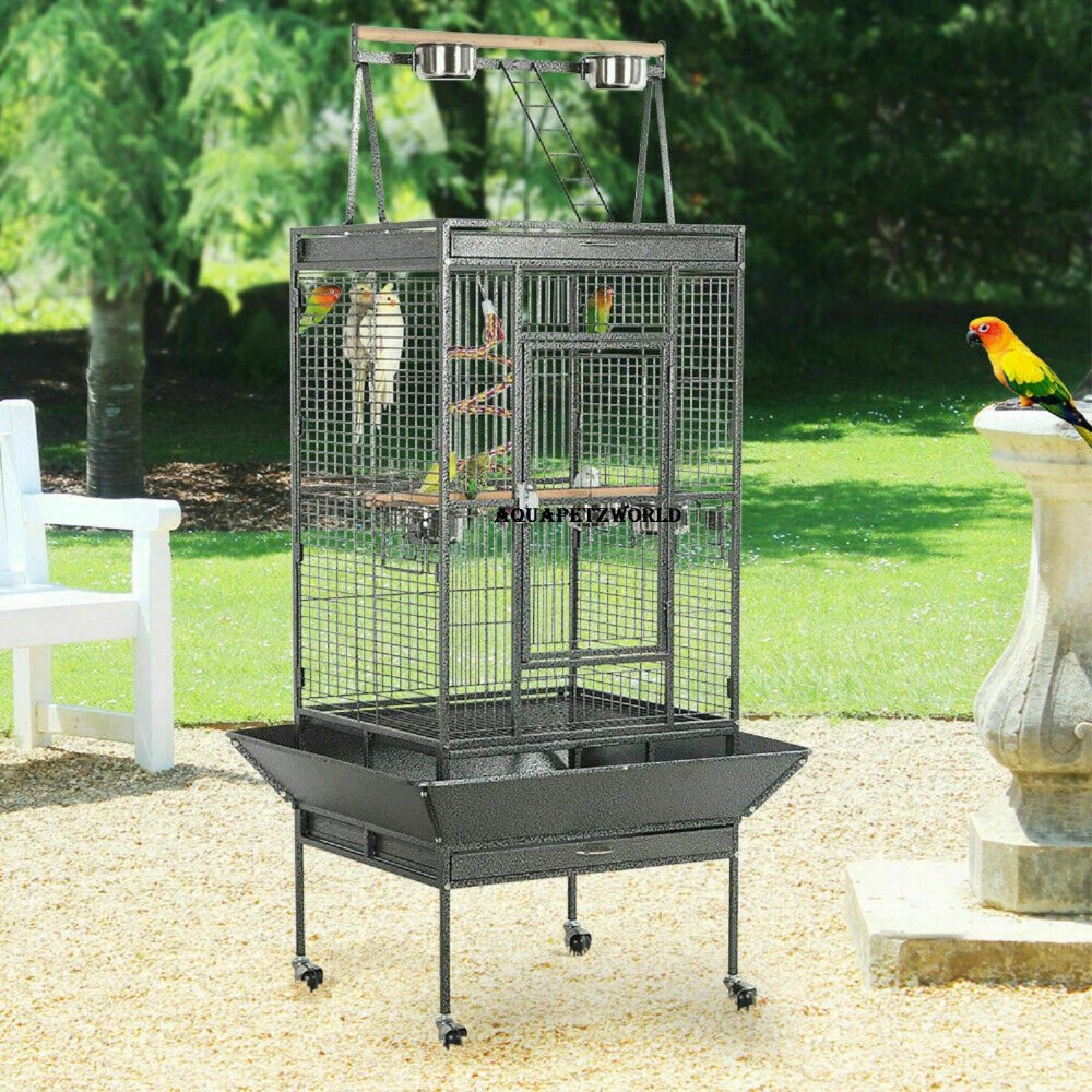 African Grey Parrot Cages