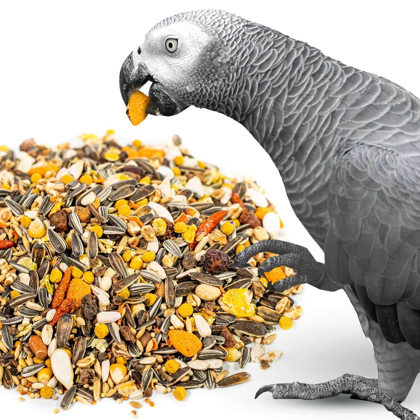 African Grey Parrot Food