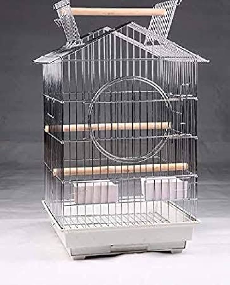 Cages For African Grey Parrots