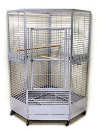 Best Cage For African Grey Parrot